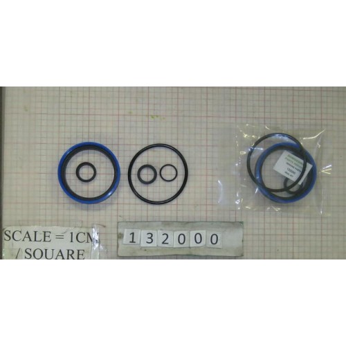 SEAL KIT RESET RAM - 132000