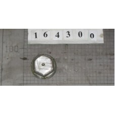 HUB CAP - 164300