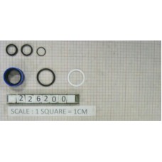 SEAL KIT 60MM BORE 30MM ROD - 226200
