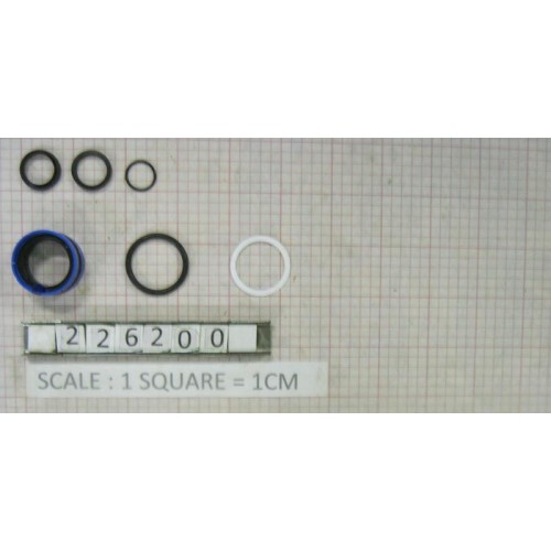SEAL KIT 60MM BORE 30MM ROD - 226200